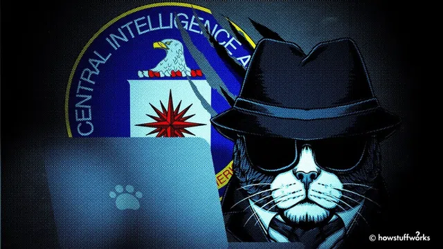 ‘Siêu gián điệp’ động vật của CIA: Tốn hàng chục triệu đô, hiệu quả bất ngờ