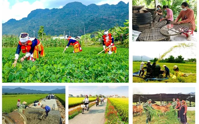 Tích hợp 4 Chương trình mục tiêu quốc gia đảm bảo nguồn lực được phân bổ rõ ràng, trọng tâm