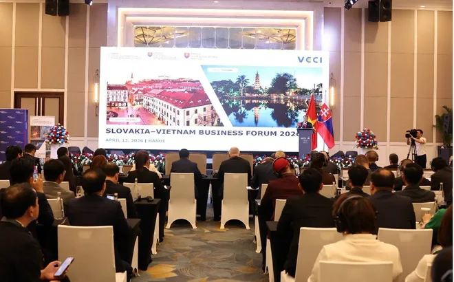 Diễn đàn Doanh nghiệp Việt Nam – Slovakia 2026: Tăng cường kết nối, mở rộng không gian hợp tác kinh tế song phương