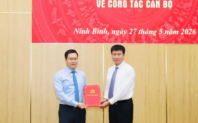 Ninh Bình, Quảng Ngãi kiện toàn nhân sự, bổ nhiệm lãnh đạo cấp cao