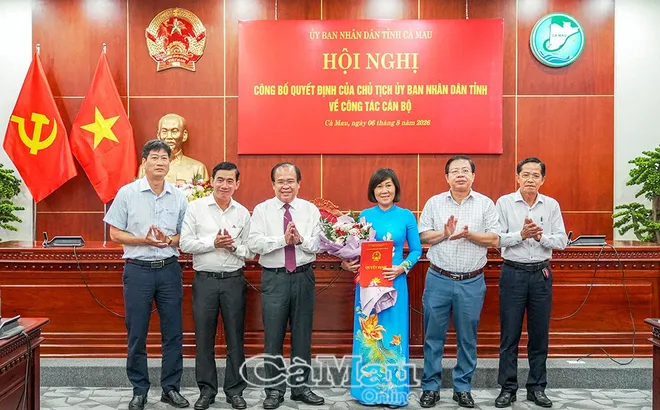 Kiện toàn nhân sự chủ chốt, bổ nhiệm lãnh đạo mới tại Hà Tĩnh và Cà Mau