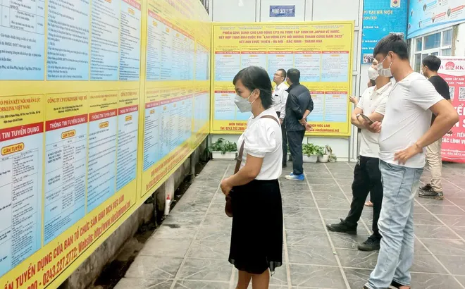 1,6 triệu thanh niên từ 15 - 24 tuổi chưa đi làm, chưa học nghề trong quý III/2026