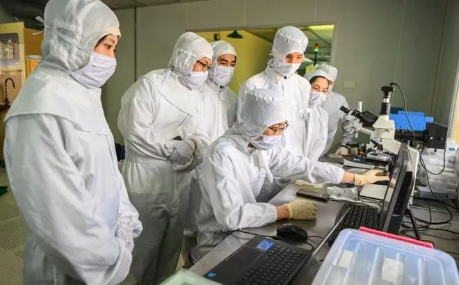 Việt Nam tăng 5 bậc trong bảng xếp hạng nhà khoa học có ảnh hưởng toàn cầu